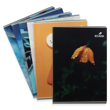 Caiet matematica policromie A5 60g 48 file Ecada 29548AR