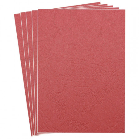 Carton imitatie piele rosu A4 230g 10/set Ecada 41401R