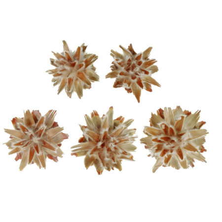 Cap plumosum 4,5-6cm 5/set