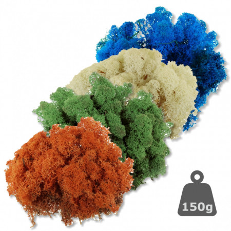 Licheni stabilizati 150g 677*** Deco