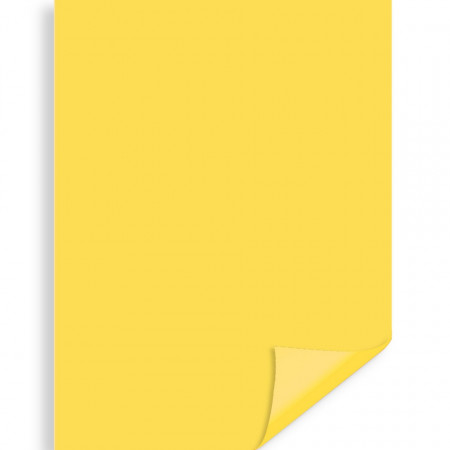 Carton color galben 70x100cm 220g Prisma Favini A33B0A1