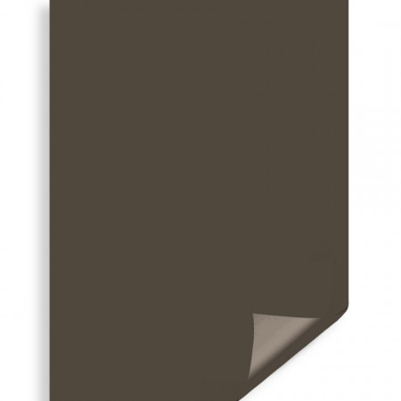 Carton color maro inchis 70x100cm 220g Prisma Favini A33L0A1
