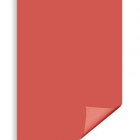 Carton color rosu scarlet 70x100cm 220g Prisma Favini A33C0A1