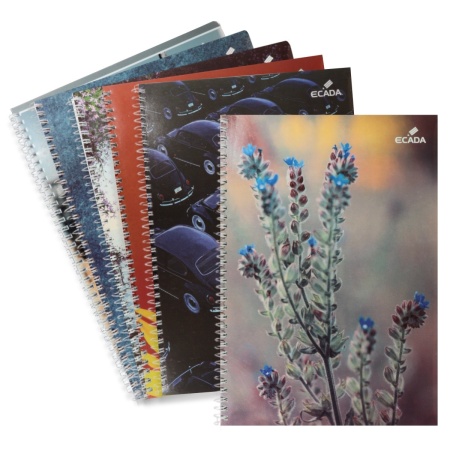 Caiet studentesc matematica cu spira A4 60g 80 file Ecada 29481AR