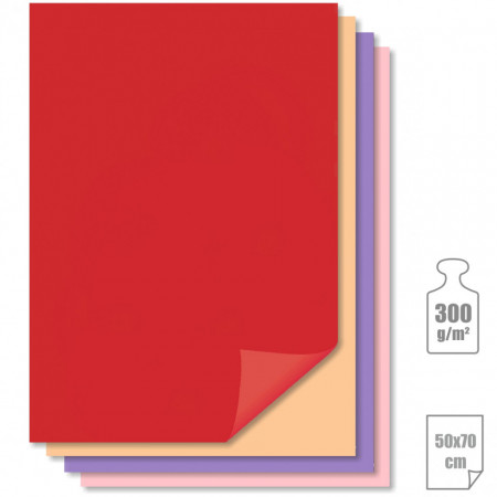 Carton 50x70cm 300g Meyco 273
