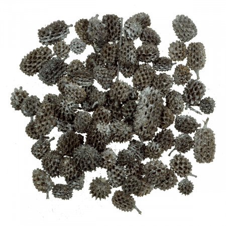 Con casuarina brumat 1-2,5cm 80g (90buc)