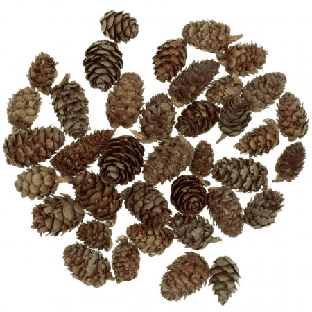 Con Larice natur 2-4cm 80g