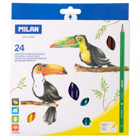 Creion color hexagonal 24/set Milan 80024