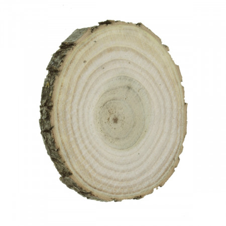 Felie lemn salcam rotund/oval 6-8x1cm