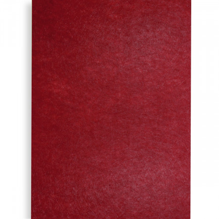 Pasla tare rosie A4 x 2mm 812228