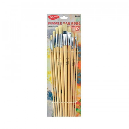 Pensula par porc varf drept si rotund 10/set Daco PN10