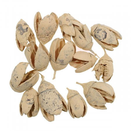 Bakuli portocaliu piersica deschis 29g
