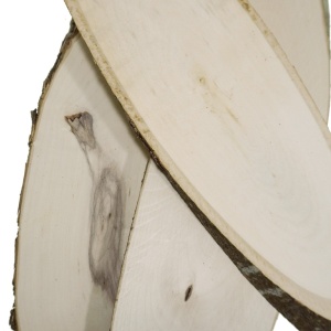 Blat cu scoarta anin oval 7/11x27/37x1/1,5cm - Img 2