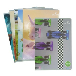 Caiet Tip 1 policromie A5 60g 24 file Ecada 29521