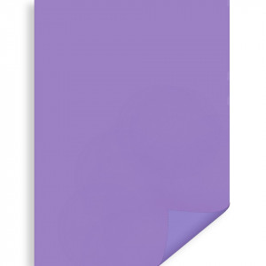 Carton 50x70cm 300g Meyco 273 - Img 4