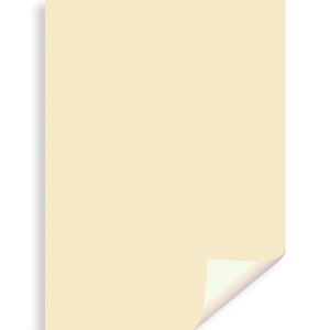 Carton color crem 70x100cm 270g Daco CN271C