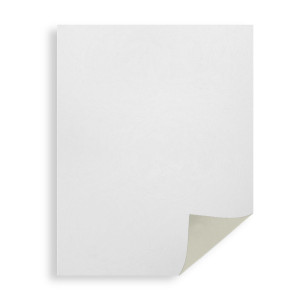 Carton duplex 35x50cm 400g Normprint