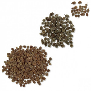Con casuarina maro natur 1-3cm
