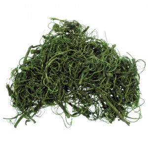 Curly moos verde oliv 40g