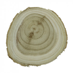 Felie lemn salcam rotund/oval 7-10x1cm
