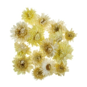Imortela galben pal/natur 9g CS1028300300