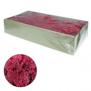 Licheni stabilizati 500g 677** Deco - Img 15