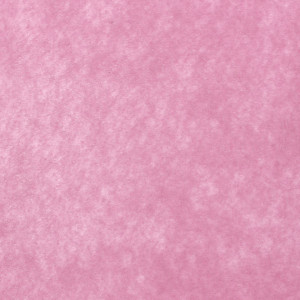 Pasla tare 2mm 49,5x50cm - Img 11