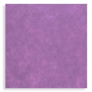 Pasla tare 49,5x50cm x 2mm lila inchis