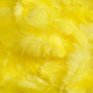 Pene 10g Canea HM0003 - Img 16