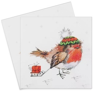 Servetel pasare cu caciula si sanie 33x33cm 2/set 611703