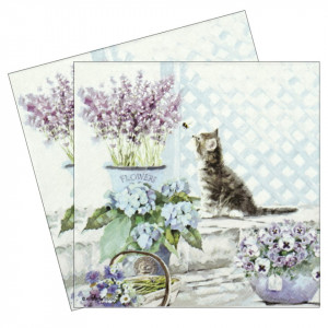 Servetel Pisicuta 33x33cm 2/set 13309990