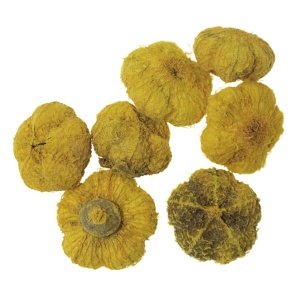 Usturoi galben inchis 2-3,5cm 20g
