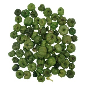 Bostanel verde 15g