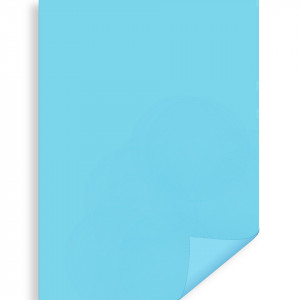 Carton 50x70cm 300g Meyco 273 - Img 5