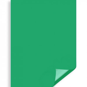 Carton color verde 70x100cm 220g Prisma Favini A33D0A1