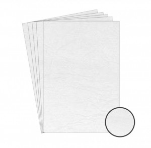Carton imitatie piele alb A4 230g 10/set Ecada 41401W