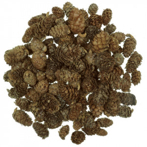Con Larice natur 2-4cm 220g