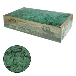 Licheni stabilizati 500g 677** Deco - Img 16