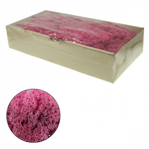 Licheni stabilizati 500g 677** Deco - Img 11