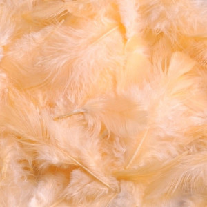 Pene 10g Canea HM0003 - Img 17