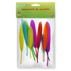 Pene culori diverse 12-15cm 10/set Colorarte A1085