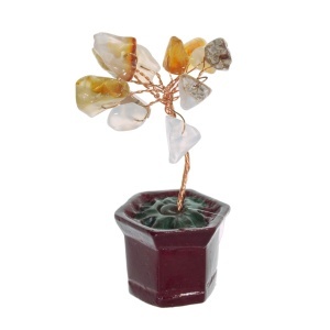 Pom decorativ in ghiveci cu pietre semipretioase chips Carneol 3x7cm SS92E