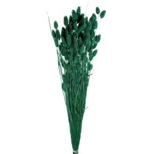 Tallaris verde inchis