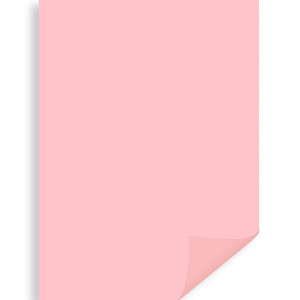 Carton 50x70cm 300g Meyco 273 - Img 6