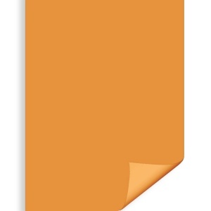 Carton color portocaliu 70x100cm 270g Daco CN271P