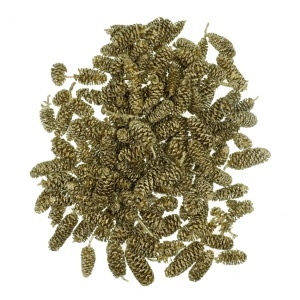 Con arin indian auriu 1-3cm 100g