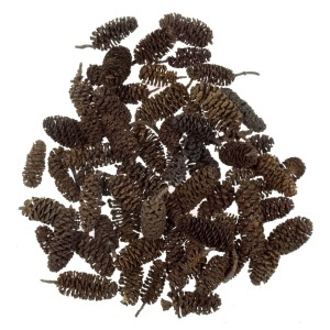 Con arin indian natur 1,5-3,5cm 30g