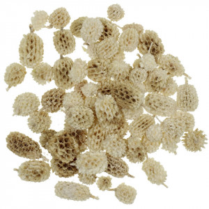 Con casuarina inalbit 1-2,5cm 40g (60buc) CS2025280300