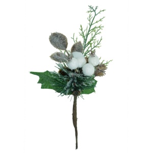 Crenguta thuya ninsa cu pin macese bobite albe conuri si frunze 25cm