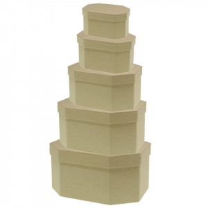 Cutie carton octogonala natur 5/set MP PD206